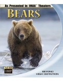 Bears