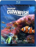 Plasma Art: Clownfish