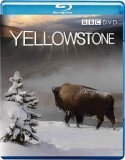 Blu-ray Yellowstone